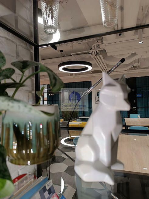 Lokal użytkowy Warszawa Śródmieście, Krakowskie Przedmieście