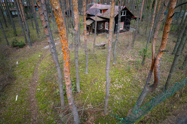 Sprzedaż/działka z MPZP/1900 m2/Łosie- Radzymin