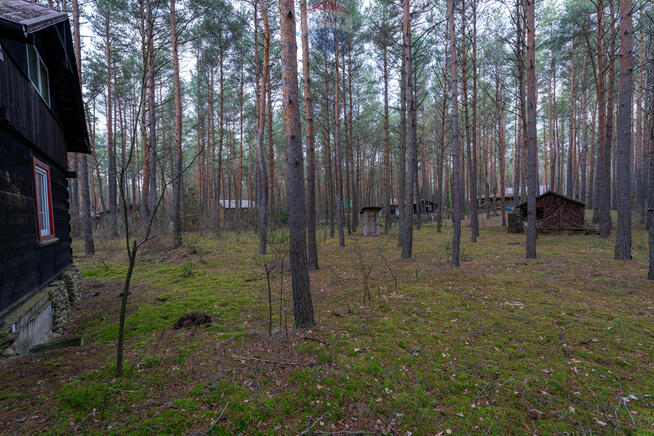 Sprzedaż/działka z MPZP/1900 m2/Łosie- Radzymin