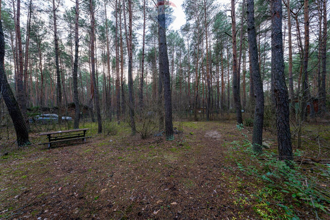 Sprzedaż/działka z MPZP/1900 m2/Łosie- Radzymin