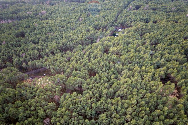 Sprzedaż/działka z MPZP/1900 m2/Łosie- Radzymin