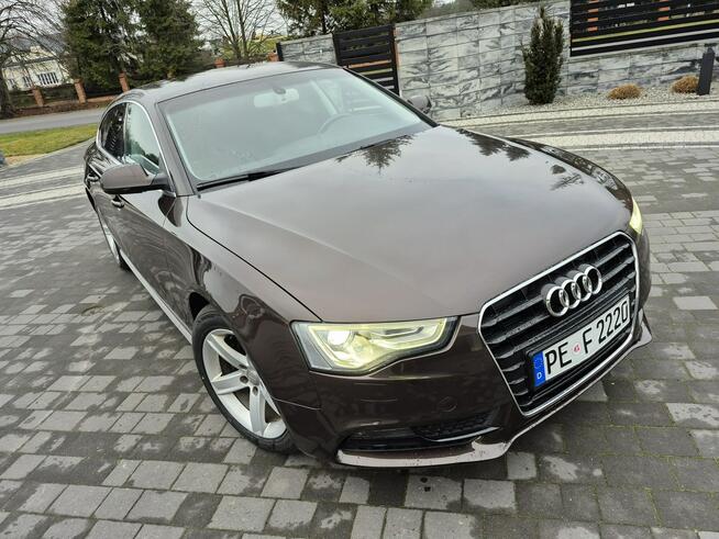 Audi A5 xenon led navi chromy ładny lift