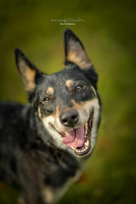 Jedna NUTKA, tysiąc chwil – daj jej dom!