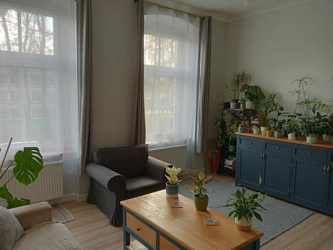 Malowanie i szpachlowanie domów i mieszkań