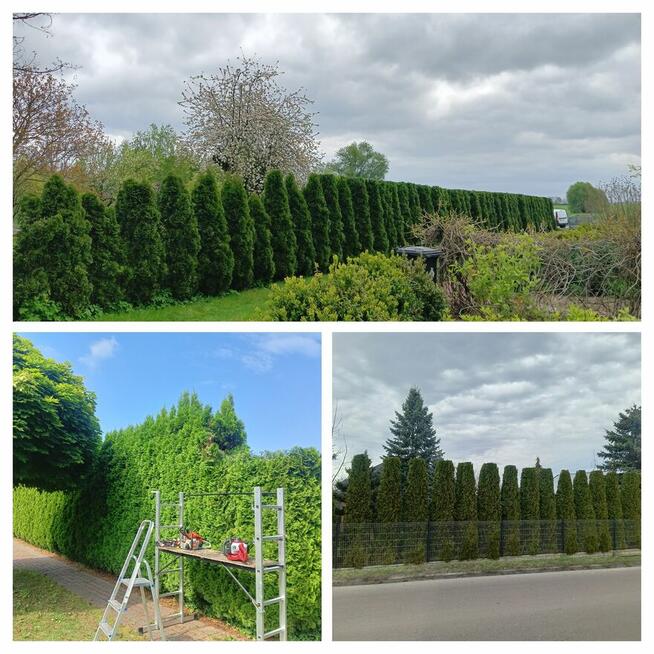 Usługi Ogrodnicze, Porządkowanie Działek