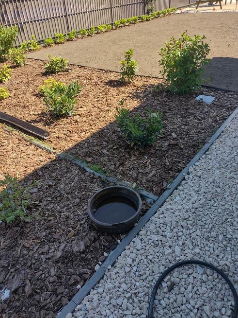 Profesjonalne usługi ogrodnicze