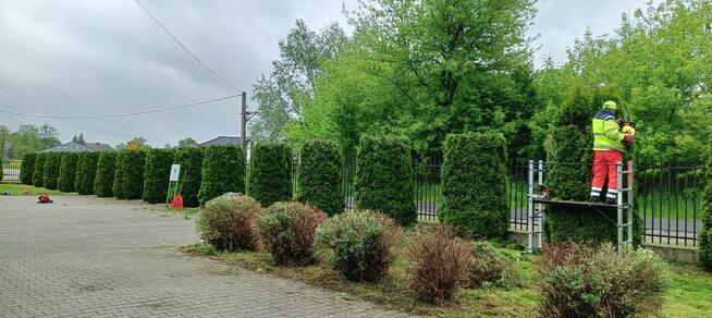 koszenie trawy nieużytków inne prace ogrodnicze