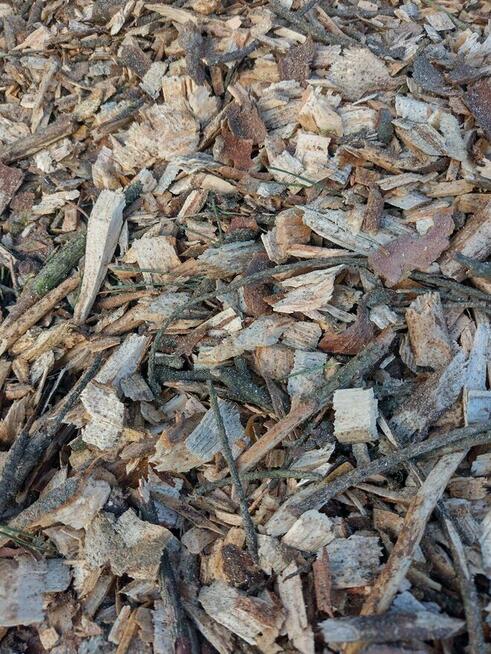 Zrębka sosnowa do ściółkowania