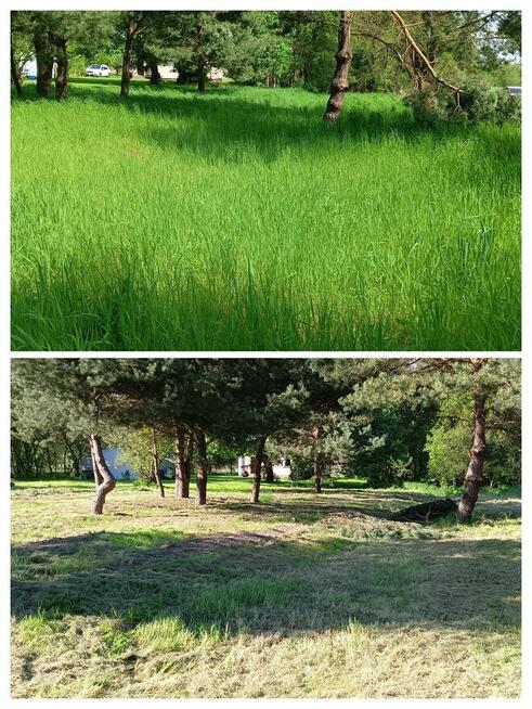 Koszenie trawawników, pielęgnacja terenów zielonych,