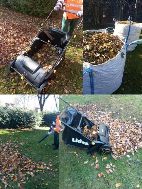 Kompleksowe utrzymanie terenów zewnętrznych(koszenie trawy,