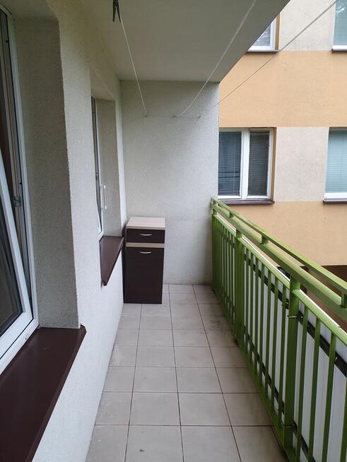 Kawalerka do wynajęcia