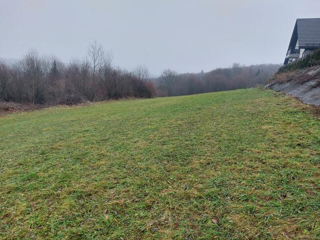 Dzialka Wola Kurowska