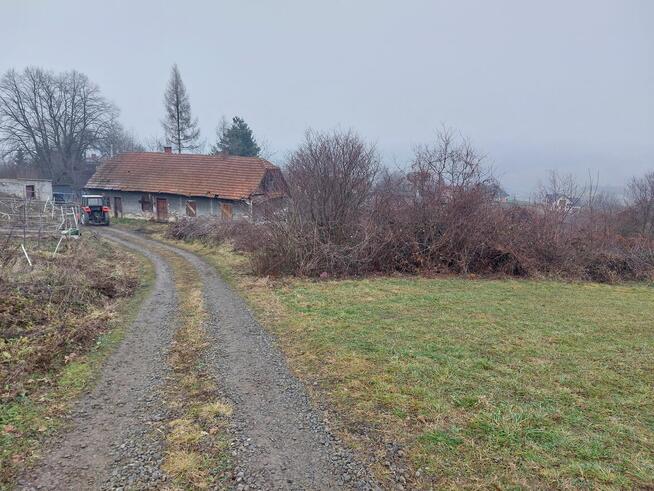 Dzialka Wola Kurowska