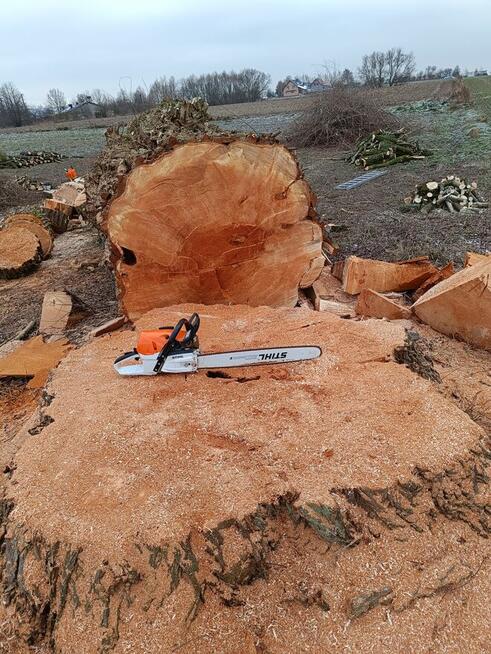 Wycinka drzew, pracę w ogrodzie