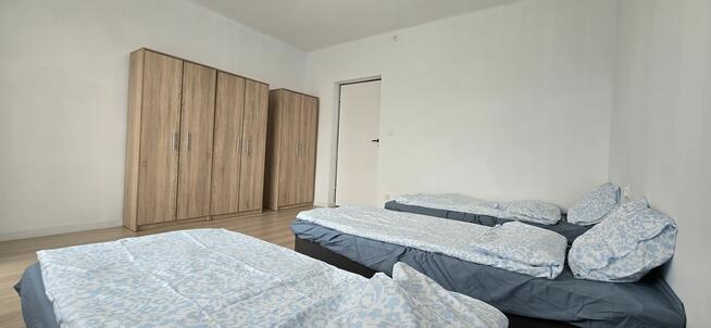 Lokal na najem okazjonalny