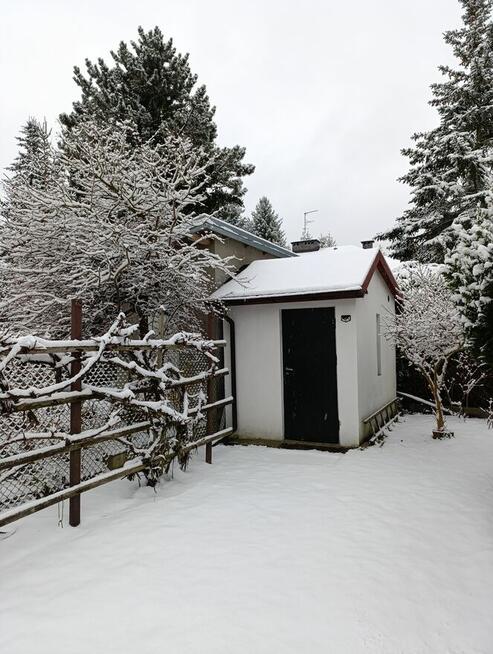 Sprzedam działkę nr 13 ROD Chylice ul Marka Grechuty