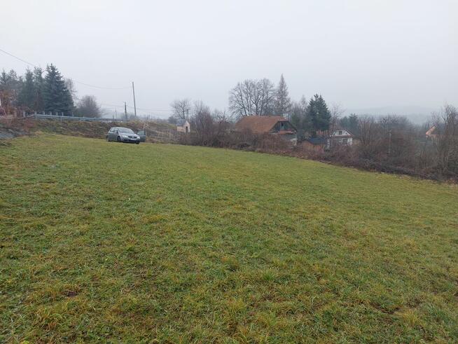 Dzialka Wola Kurowska