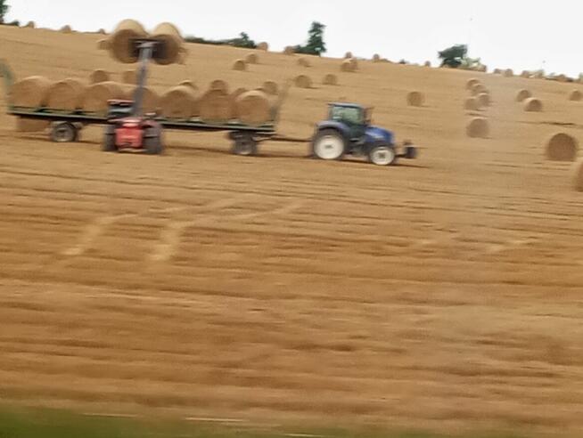 Koleżeństwo, przyjazn , potem ...