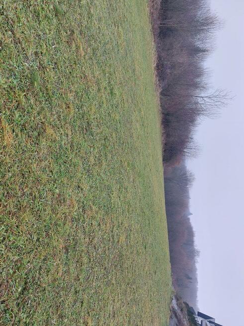 Dzialka Wola Kurowska