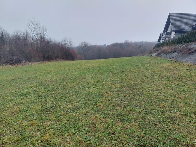 Dzialka Wola Kurowska