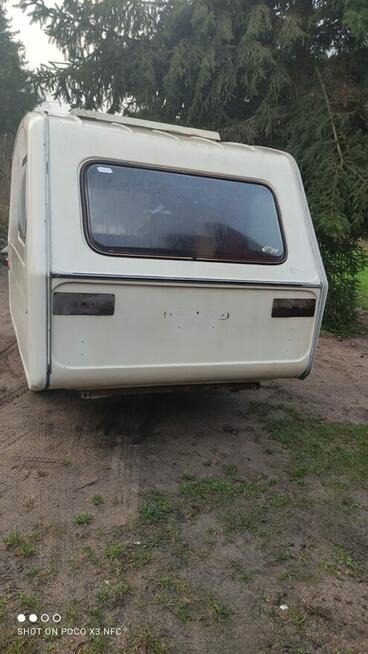 Przyczepka kempingowa Niewiadów n126 2 sztuki