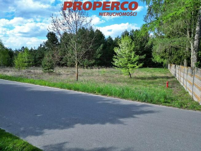 Działka rolna Celiny gm. Raków