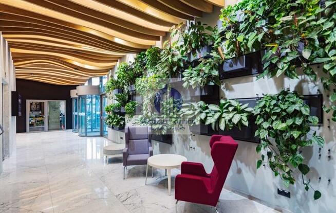 Lokal użytkowy Warszawa Mokotów, Cybernetyki