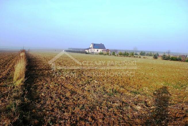 Działka budowlana Dziuchów gm. Niemce, Dziuchów