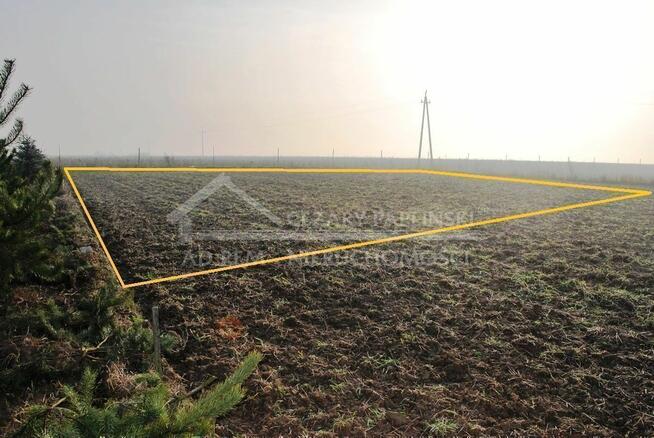 Działka budowlana Dziuchów gm. Niemce, Dziuchów