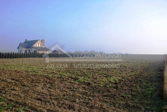 Działka budowlana Dziuchów gm. Niemce, Dziuchów
