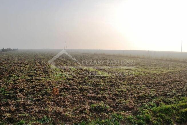 Działka budowlana Dziuchów gm. Niemce, Dziuchów