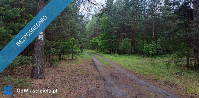 Sprzedam siedlisko 4000 m2 Cisza i spokój, dojazd z Warszawy trasą S7 Cisza i spokój, dojazd z Wars