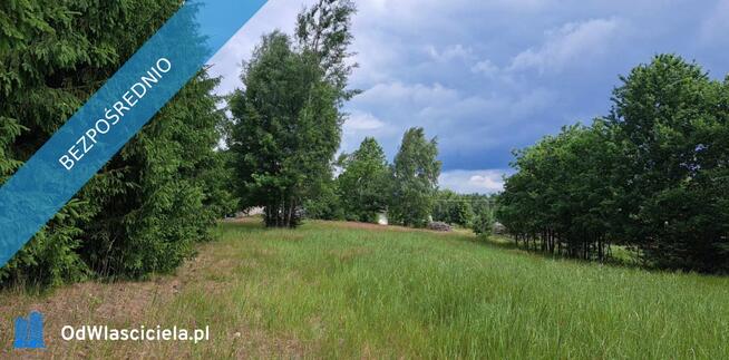 Sprzedam siedlisko 4000 m2 Cisza i spokój, dojazd z Warszawy trasą S7