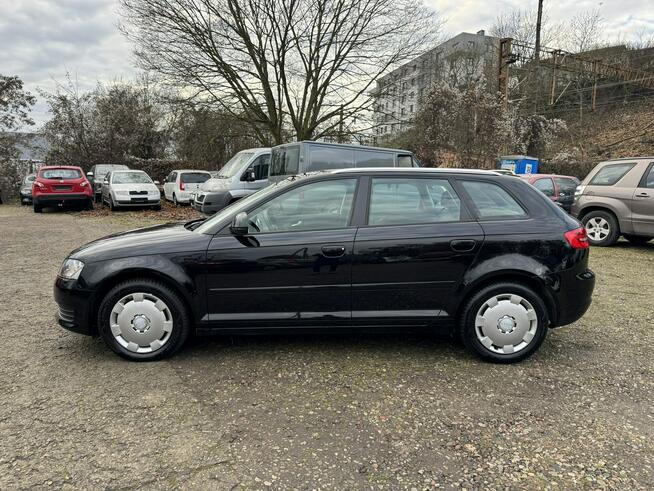 Audi A3 1.6MPi-102km-Serwisowany-Bezwypadkowy-Klimatronik-DRL-Światła Dzienne