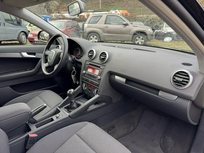 Audi A3 1.6MPi-102km-Serwisowany-Bezwypadkowy-Klimatronik-DRL-Światła Dzienne