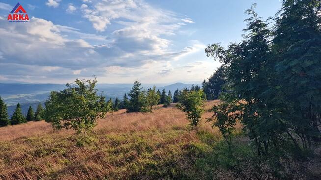 Działka inwestycyjna Wilczyce gm. Dobra