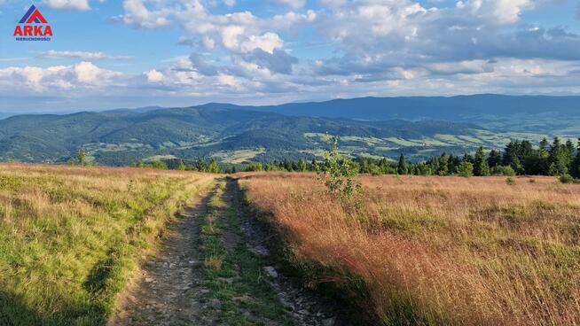 Działka inwestycyjna Wilczyce gm. Dobra