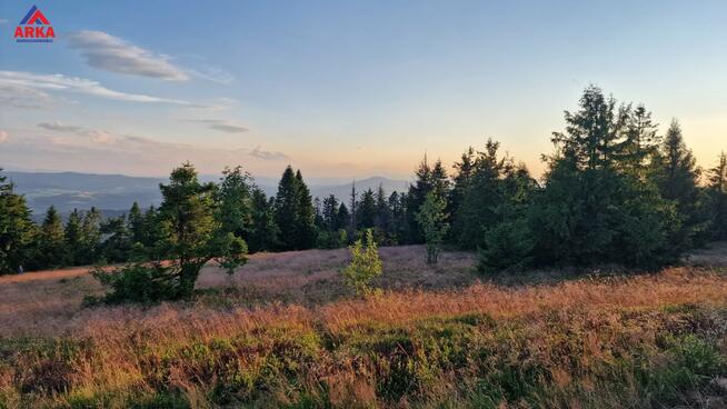 Działka inwestycyjna Wilczyce gm. Dobra