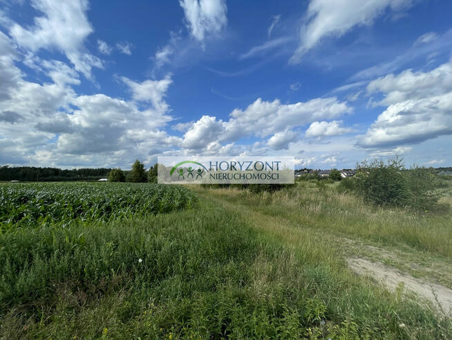 Bojano- działki mieszkaniowo usługowe