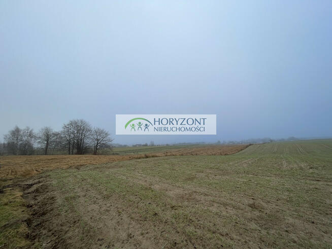 Dobrzewino - kompleks działek