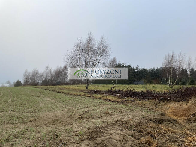 Dobrzewino - kompleks działek