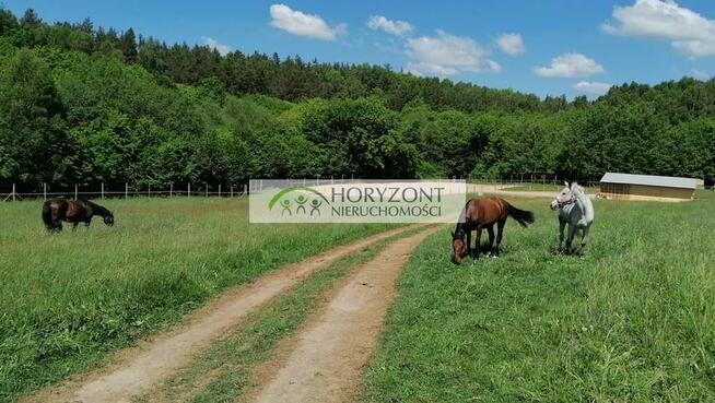 Łebno - działki budowlane przy zagajniku