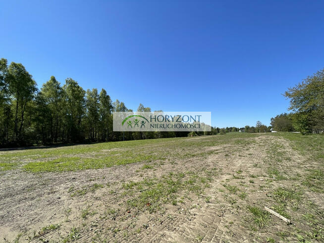 Kamień- kompleks działek przy lesie
