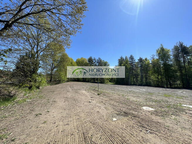 Kamień- kompleks działek przy lesie