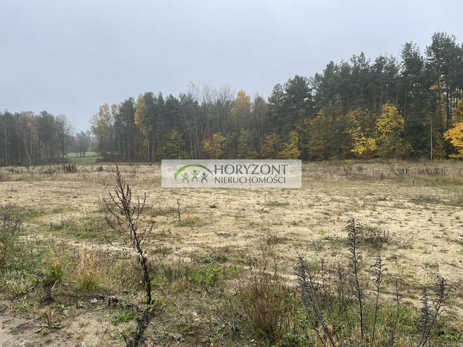 Kamień - działka przy zagajniku