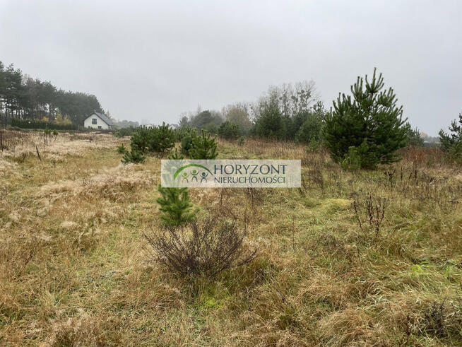 Bojano - Wiczlino,działki budowlane