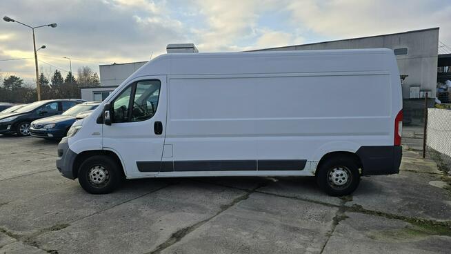 Fiat Ducato Chłodnia