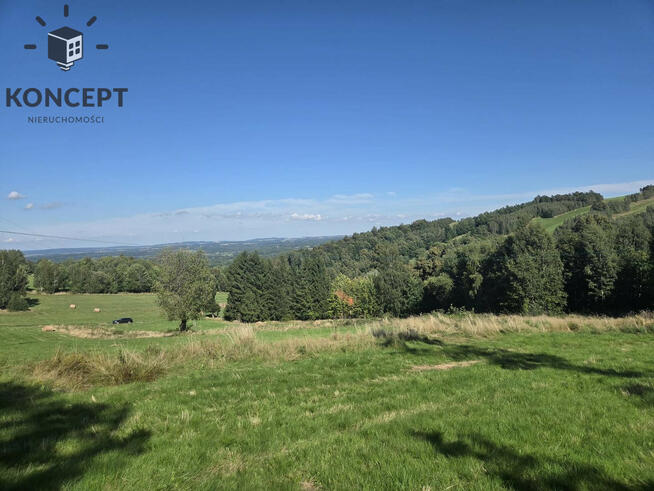 Gierczyn, działka z pięknym widokiem.
