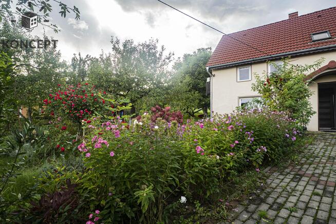 Piękna, zielona okolica - duża działka, dom i zabudowania