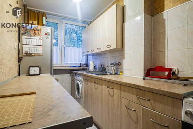 Mieszkanie na Szczepinie, 2 pokoje, rozkład